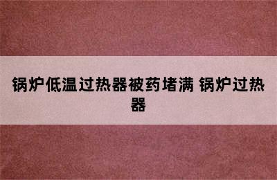 锅炉低温过热器被药堵满 锅炉过热器